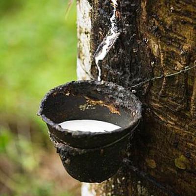 Натуральный каучук