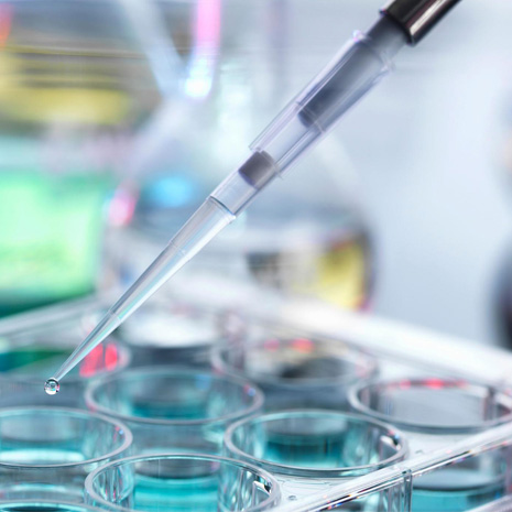 Пояснение бульона Ферментайон аминокислоты