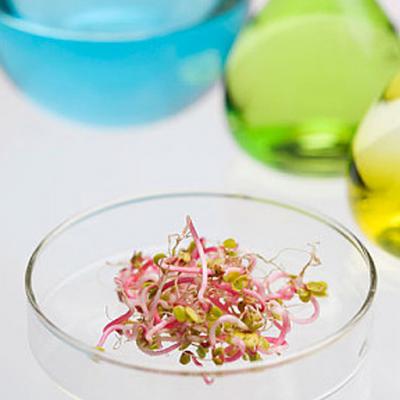 Уточнение Био-продукции