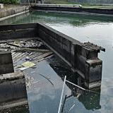 Свалочный лиахат