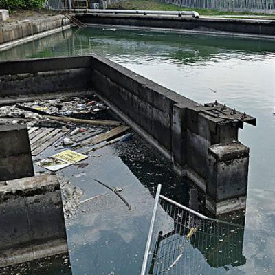 Свалочный лиахат